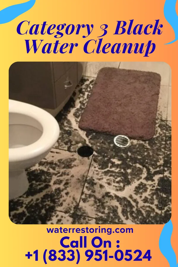Category 3 Black Water Cleanup in Wright, WY